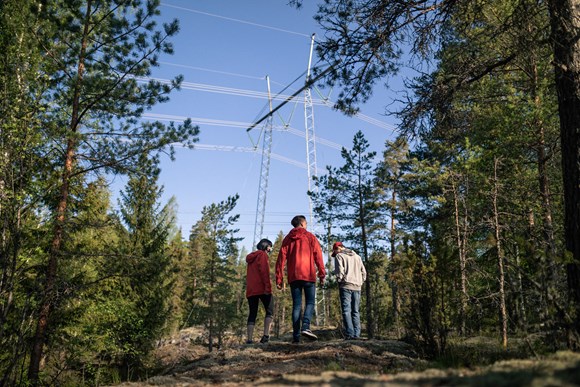 Kasvustonkäsittely ja raivaukset