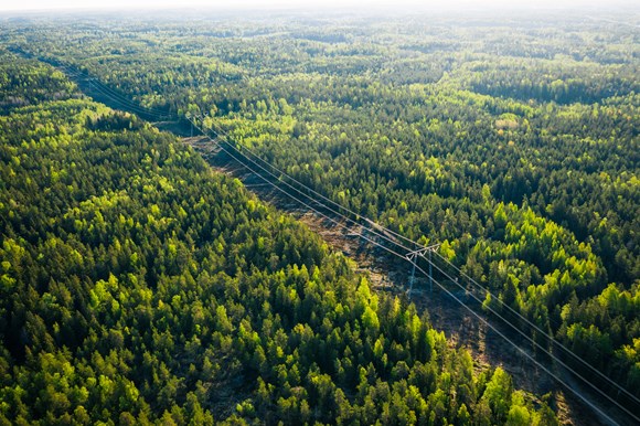 Suomen kantaverkko