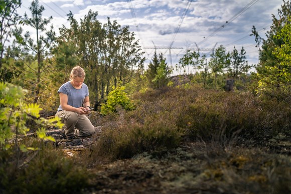 Voimajohtoalueiden hyödyntäminen